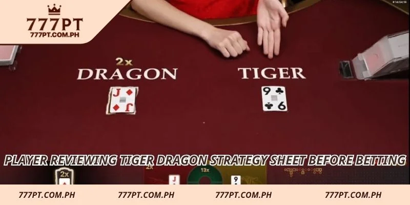 Player reviewing Tiger Dragon strategy sheet before betting
