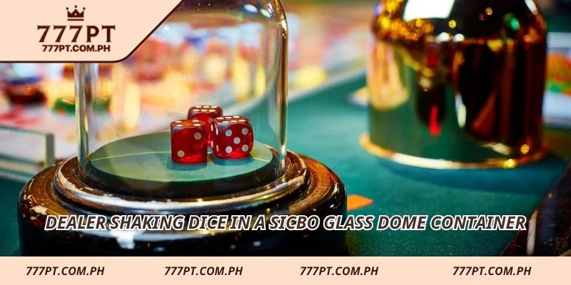 Dealer shaking dice in a Sicbo glass dome container