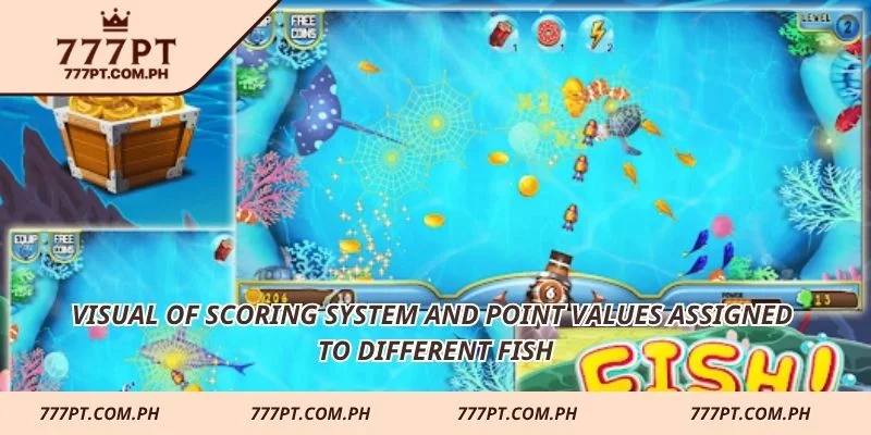 Visual of scoring system and point values assigned to different fish