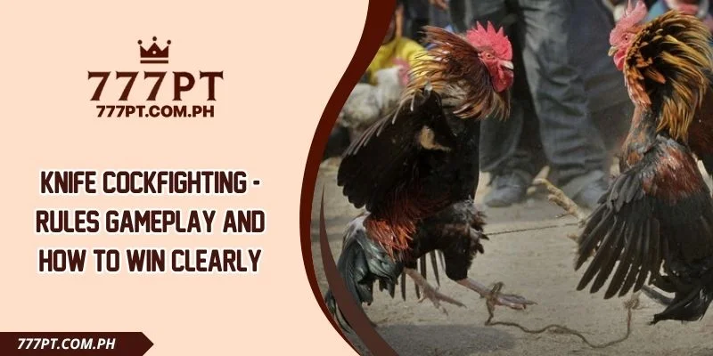 Knife Cockfighting - Rules Gameplay And How To Win Clearly