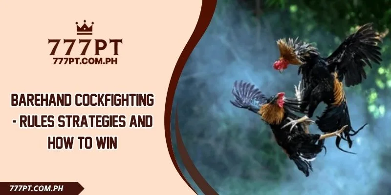 Barehand Cockfighting - Rules Strategies And How To Win