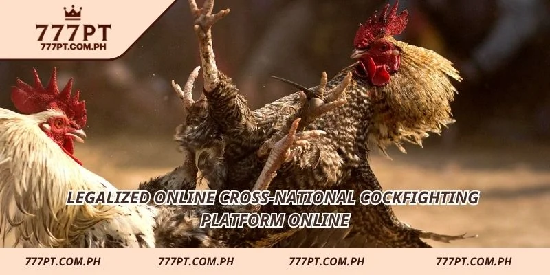 Legalized online Cross-national cockfighting platform online