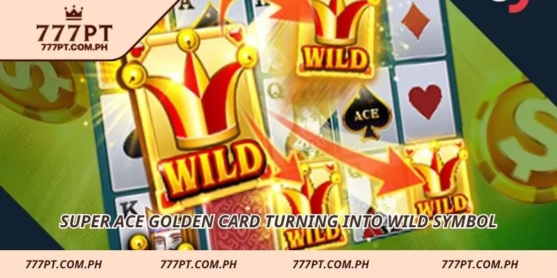 Super Ace golden card turning into wild symbol