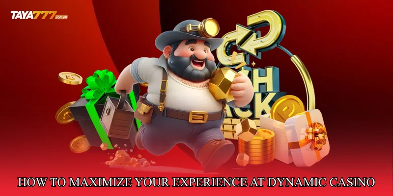 How to Maximize Your Experience at Dynamic Casino Performance Arena